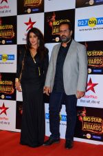 Krishika Lulla at Big Star Awards in Mumbai on 13th Dec 2015